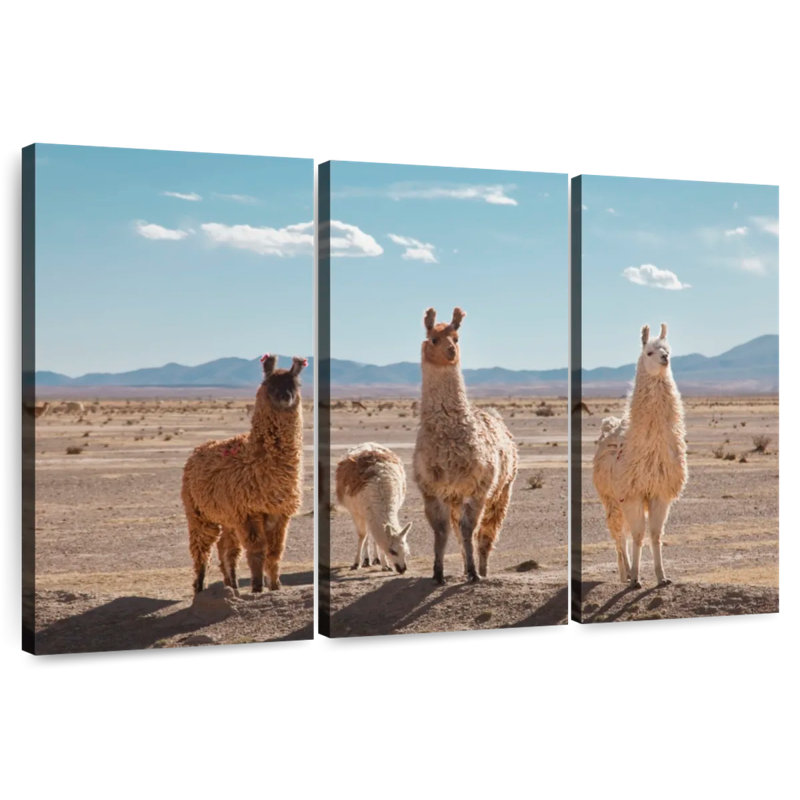 Four Llamas, 24" H x 38" W