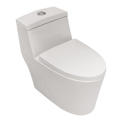 Ceramic One Piece Toilet,Dual Flush With Soft Clsoing Seat