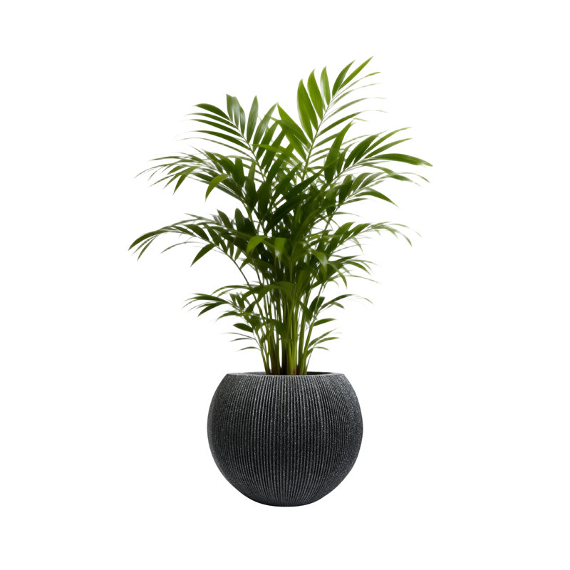 14.5 Inch Dia Plastic Round Black Planters for Outdoor Plants, Plant Pot with Drainage Holes and Plug for Home Patio Garden, Large Flower Pot for Indoor and Outdoor Plants, 11.8 H (8.9" Pot Opening)