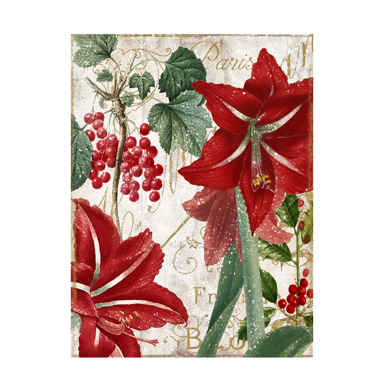 Art sur toile «Bachelor Sasha Amaryllis», H 19 po x l 14 po