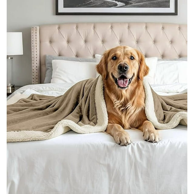 Ensemble de 4 jetés en polaire Beddora Sherpa - flanelle réversible et jeté en sherpa 50 x 60 pouces, couverture ultra chaude 450 g / m² pour canapé-lit, brun