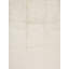 Area Rug in Ivory