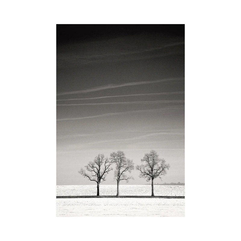 Troika by Lena Weisbek - Wrapped Canvas Print, 20.32 cm H x 30.48 cm W