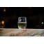 Oasis Stemless Wine Glass