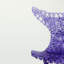 Innovative Chair – Fluid Design With Lighting Reflections And Bold Color Options