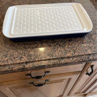 Tovolo Prep Serve Large Marinade Tray Set - White Tray with Stratus Blue Base