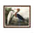 Brown Framed sélectionné