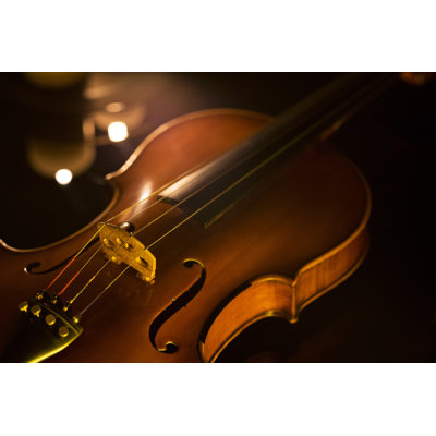 Violin - Wrapped Canvas Print