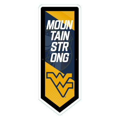 NCAA Team Pennant Shaped LED Lighted Wall Sign