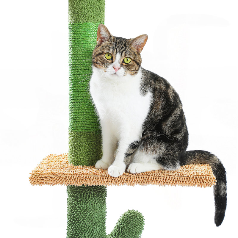 Tour à chat réglable à 5 niveaux pour cactus