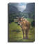 Art mural luxueux «Swiss Cow» par Martin Podt, 16 po x 24 po-114799717