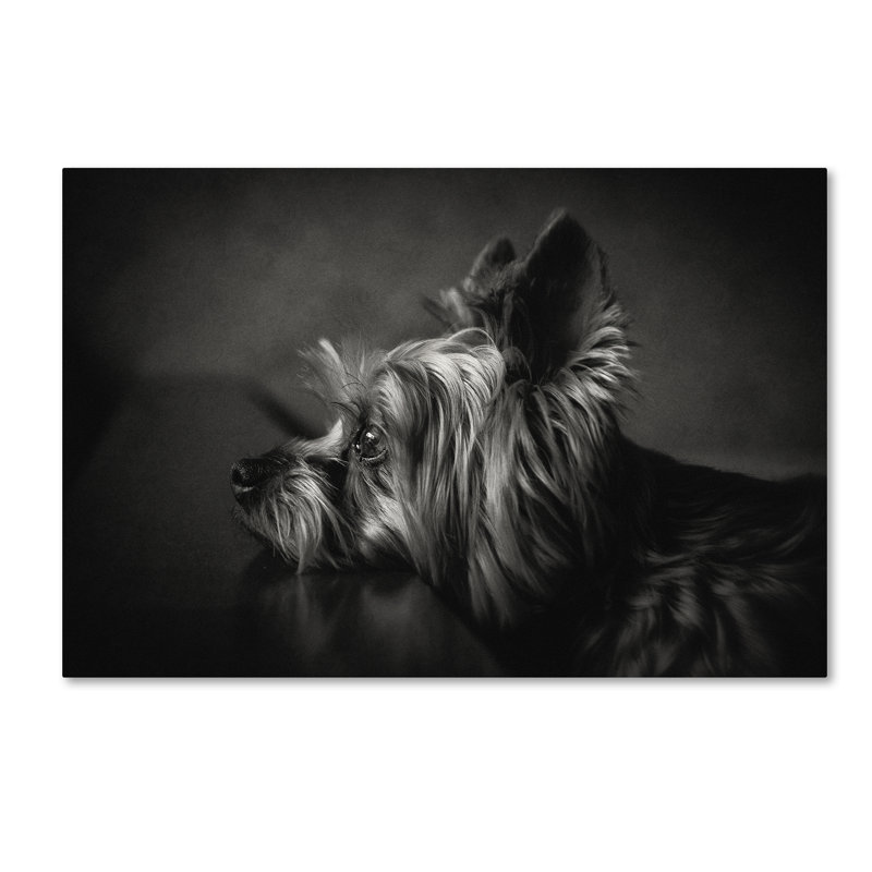Wrapped Canvas Wall Art - Krisztina Lacz 'I Have Been Waiting For You ...' Wall Art for Living Room, Bedroom, or Office Décor - 22X32