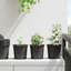 Nursery Pot-1246024101-1246024102