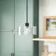 Mulaney Single Light Glass Steel Dimmable Pendant