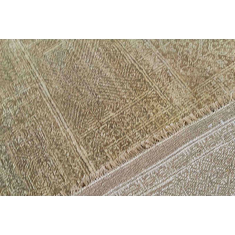 Oriental Area Rug in Beige