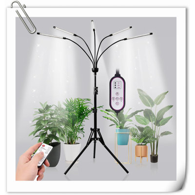 Latitude Run 5-Head Adjustable LED Plant Light With Timer, Full Spectrum, Black/White