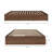 Ralston Kids-329709662-389713924