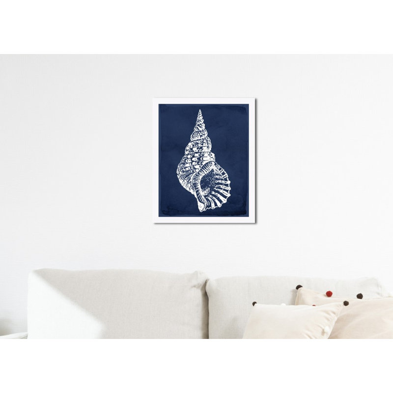 « navega shell marine », impression encadrée, H 24 po x l 20 po x P 1,5 po