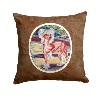 Outdoor Square Pillow Cover & Insert