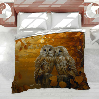 Édredon Owls
