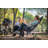 Tharel Folding Reclining Camping Chair