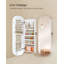 Over-the-Door Jewelry Armoire