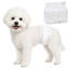 Dog Diaper