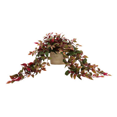 5.5 Artificial Moss Plant (Set of 12) Birch Lane