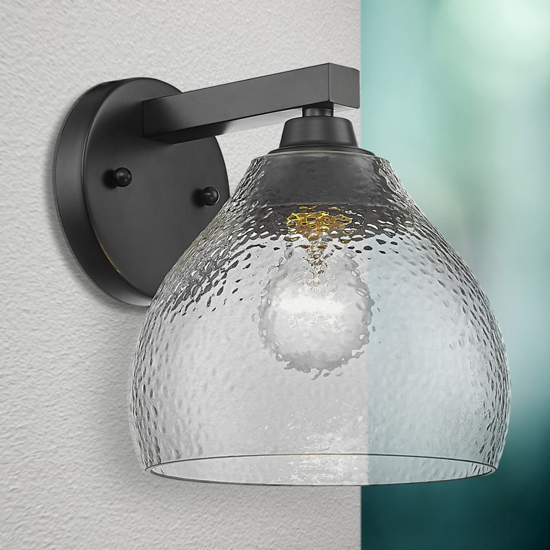 Donia Steel Spotlight