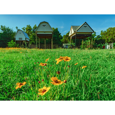 Bat Houses and Green Grass with Flowers | Gainesville, Florida Framed Photographic Print