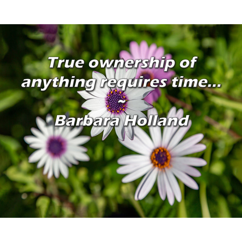 Artsy Quote "True ownership of anything requires time..." By Barbara Holland Gallery Wrapped Canvas