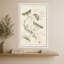 Mariposas I par V. Larkspar - Impression sur toile-1204374138-1204374141