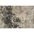 Maurin Abstract Indoor Rug-646035218