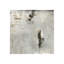 Luna IV Painting by Paul Duncan-26934883-26934884