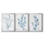 Antique Botanical In Blue VII - Ensemble de 3 peintures sur toile encadrées-2062084385-2062084388