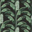 Banana Leaf - Wallpaper-272488708-272488709
