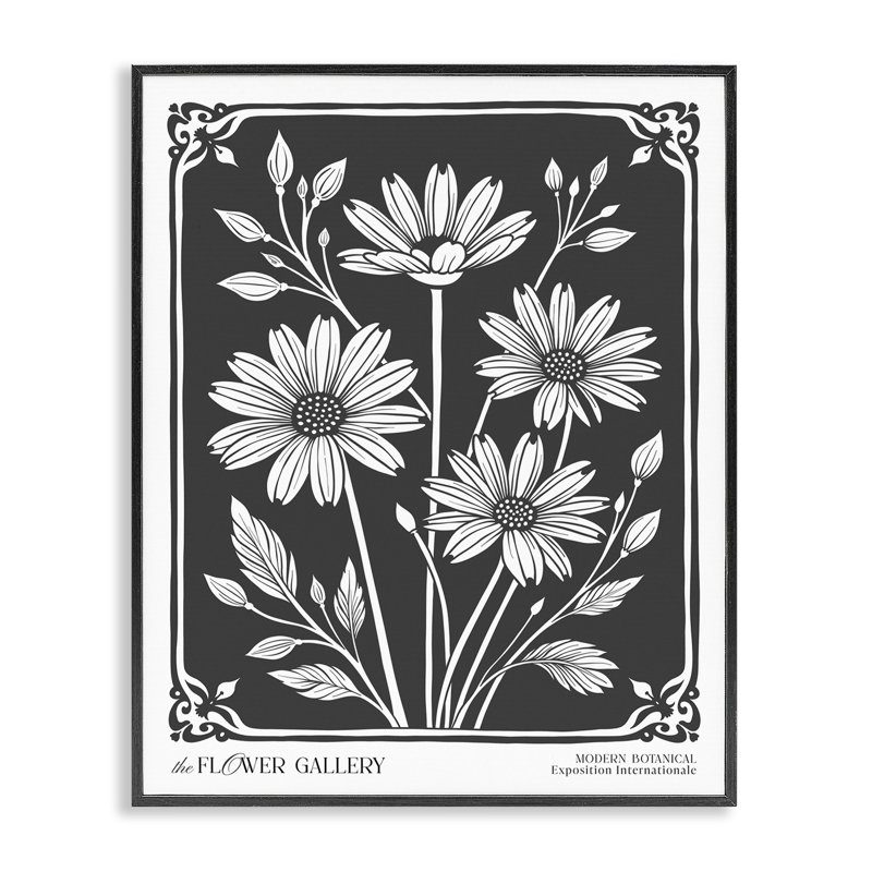 «Daisies with Vintage Border», art de la giclée encadrée, design par lettré et doublé, Giclée encadrée noir minuit