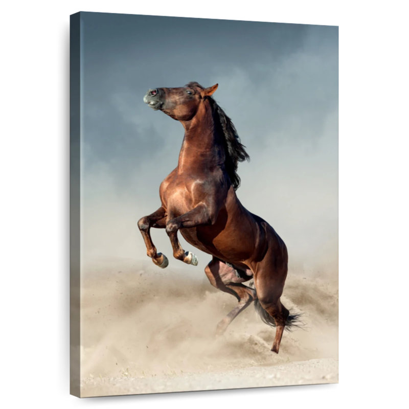 Brampt Brown Andalusian Horse, 39" H x 26" W