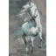 « running white cheval »-peinture sur toile tendue-1767451970