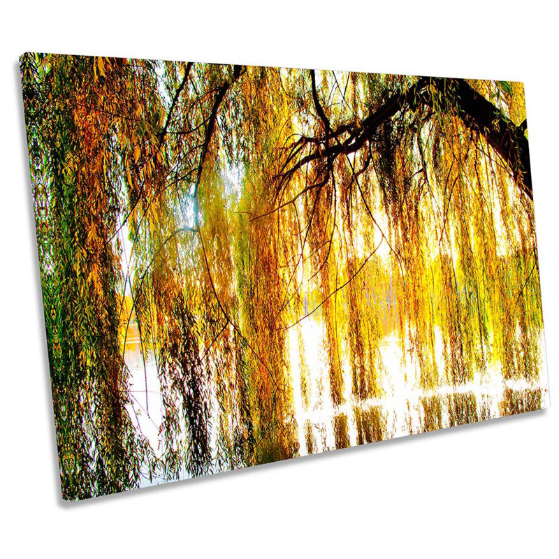 Weeping Willow Tree Blossom - Wrapped Canvas Print, 81.3cm H x 121.9cm W