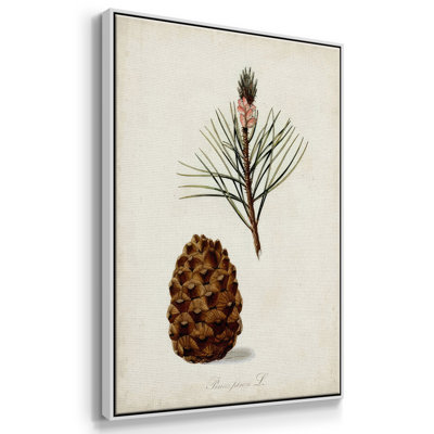 Étude d'arbre antique V