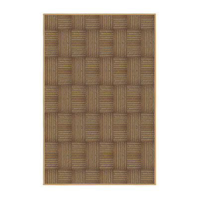 Indoor Rug