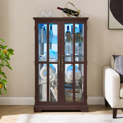 Armoire haute en verre foncé à double porte en treillis foncé, bande lumineuse RVB en couleur, 3 tablettes réglables, grande capacité de rangement pour la cuisine, le salon, le bureau et la chambre à coucher