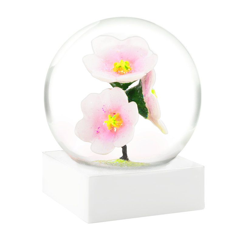 Blossom To Go - Set Of 12
