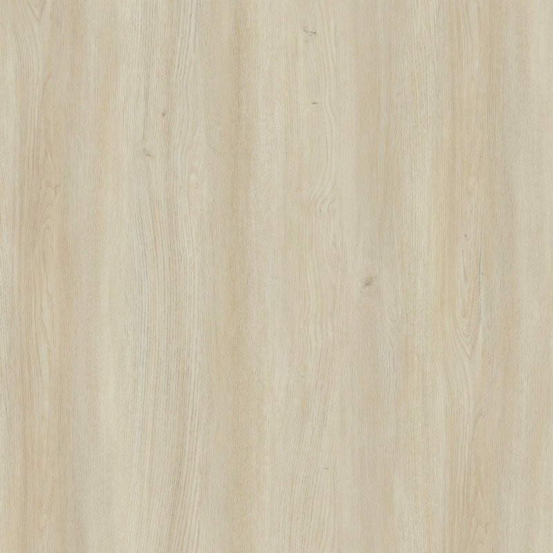 Novara 60" Contemporary 2-Drawer Writing Desk in Whitewashed Oak, Whitewashed Oak