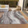 Machine Washable Indoor/Outdoor Claudian ACN1676 Taupe Rug