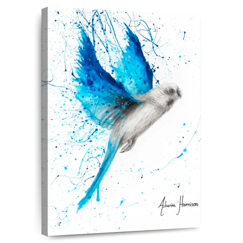 Bramgie Blue Lake, H 12 po x l 8 po