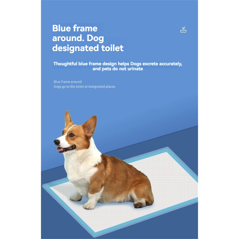 Tapis pour chien (ensemble de 40)