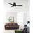 Lasky 44'' Ceiling Fan with LED Lights-944404856