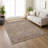 Machine Washable Indoor/Outdoor Brenden ACN2244 Navajo Rug-276779776